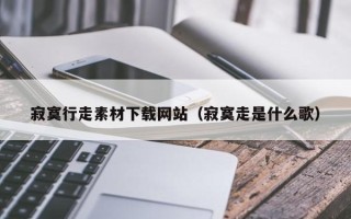 伊川寂寞行走素材下载网站（寂寞走是什么歌）